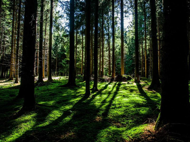 存在主义危机<br>lyv4augd.cn 恶心与呕吐